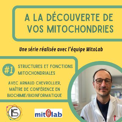 ADM #1 - Structures et fonctions mitochondriales, avec Arnaud Chevrollier