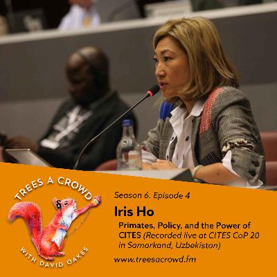 Iris Ho: Primates, Policy, and the Power of CITES