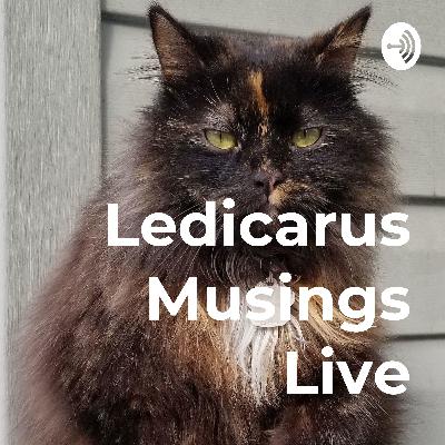 Voting With Conscience