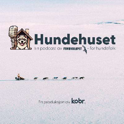 Soldat vs Hundekjører Soldat vs Hundekjører