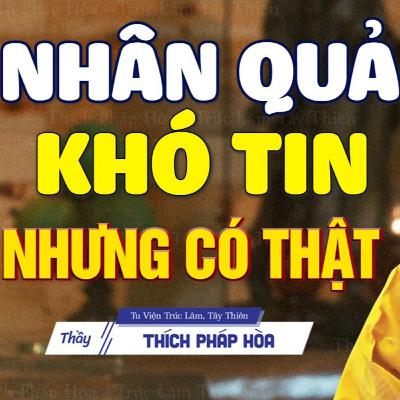 Nhân quả khó tin nhưng là có thật - Thầy Thích Pháp Hòa