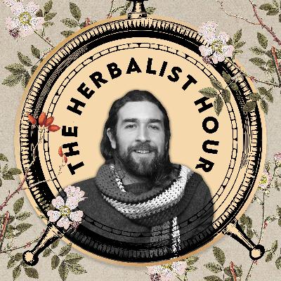 WINTER SOLSTICE SPECIAL: Nick Moya | Mushrooms, Oregon Grape & Play WINTER SOLSTICE SPECIAL: Nick Moya | Mushrooms, Oregon Grape & Play