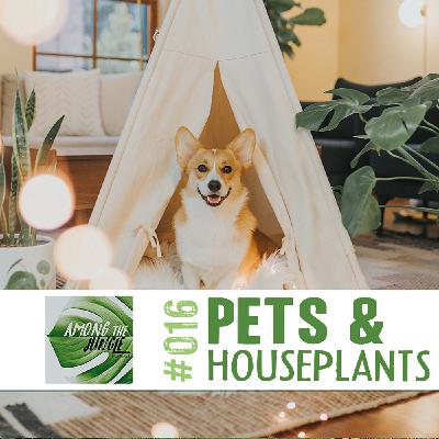 Pets & Houseplants: Plant Toxicity in Cats and Dogs