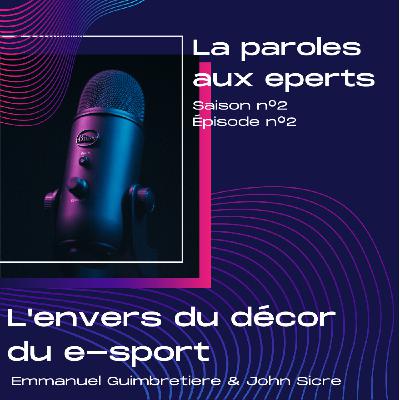 E-Sport - La paroles aux experts