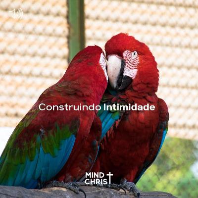 Construindo Intimidade