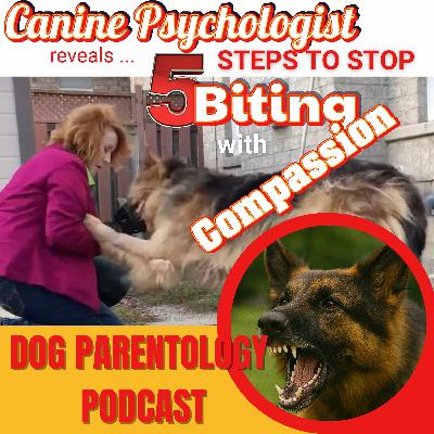 5 Steps to Stop a Dog Biting, Compassionately, with Canine Psychologist, Sparky Smith