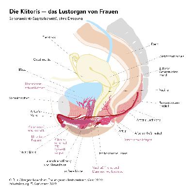 Was sollten auch erwachsene Frauen über ihre Sexualität wissen?