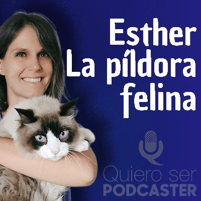 Un podcast diario sobre gatos que funciona mejor que muchos de marketing