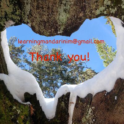 Level 4, Ep 48. Thank You ALL ! Level 4, Ep 48. Thank You ALL !