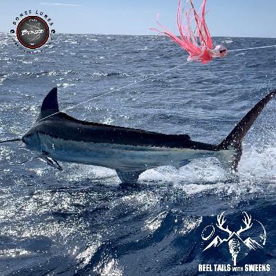 Bonze - Blue Marlin Bonze - Blue Marlin