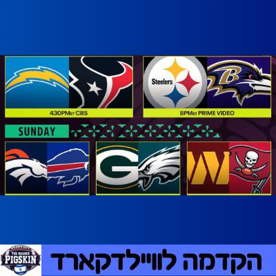 הקדמה לשבוע הווילדקארד עם אורן גרינמן