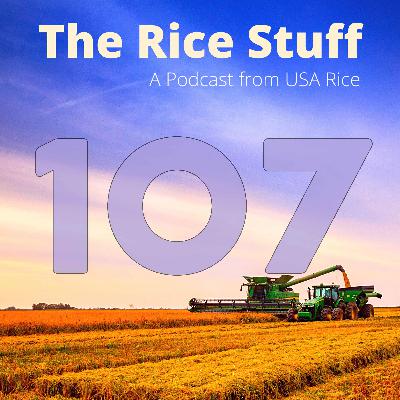 #107 A Rice Retrospective