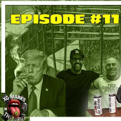 JRE Sam Tripoli episode insider scoop, Splash house Recap, Roblox scandal l XG Marks the spot #11