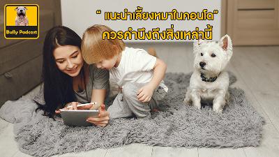แนะนำการเลี้ยงหมาในคอนโด ควรคำนึงถึงสิ่งเหล่านี้ The Cutedog’s Podcast EP 18 แนะนำการเลี้ยงหมาในคอนโด ควรคำนึงถึงสิ่งเหล่านี้ The Cutedog’s Podcast EP 18