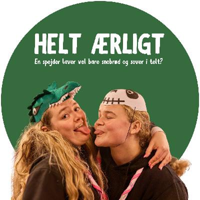 Helt Ærligt - Hvad og hvem er Helt Ærligt