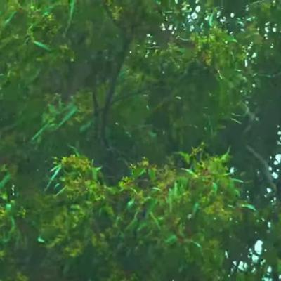 Strong wind and heavy rain for 1 hour