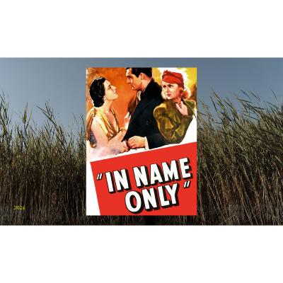 In Name Only Episode 6: Validation