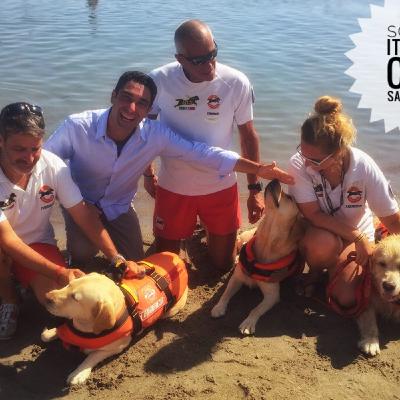 Angeli a 4 Zampe - Scuola Italiana Cani Salvataggio