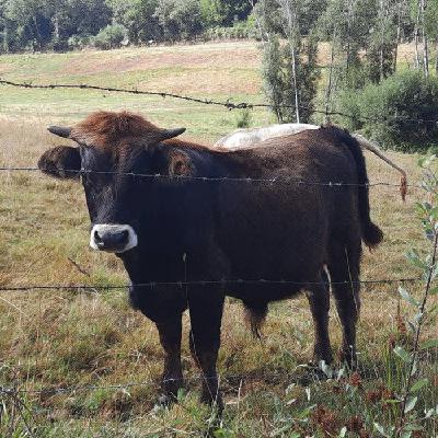 SAN ONOFRE, 17-XXVIII Balty Albiol (Trompeta) interviú