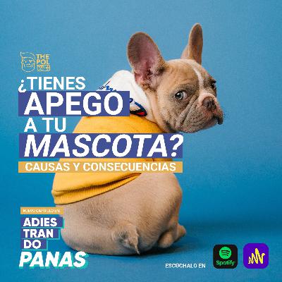 ¿Tienes apego a tu mascota? Causas y consecuencias en tu perro.