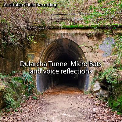 Micro Bats - Dularcha Tunnel (field recording)
