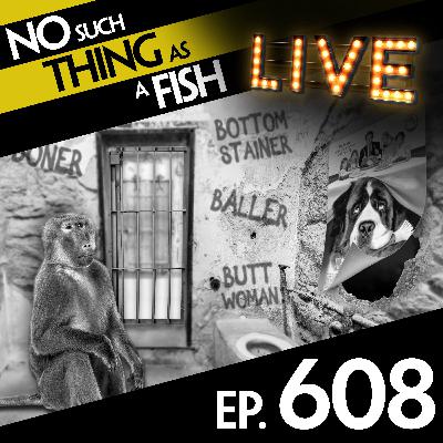 608: No Such Thing As A Chocolate Sausage