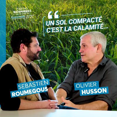 « Un sol compacté, c’est la calamité » : comment régénérer nos terres ? Avec Olivier Husson
