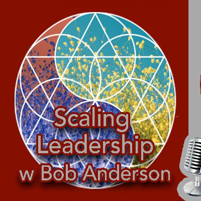 Scaling Leadership with Bob Anderson (From the archives)
