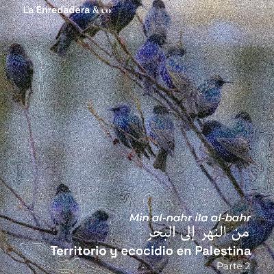 Min al-nahr ila al-bahr. Territorio y ecocidio en Palestina, Parte 2