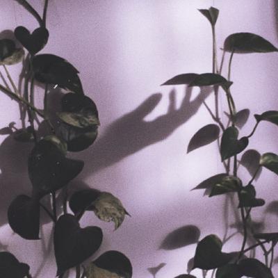 از مجموعه "نامه هایی به او"