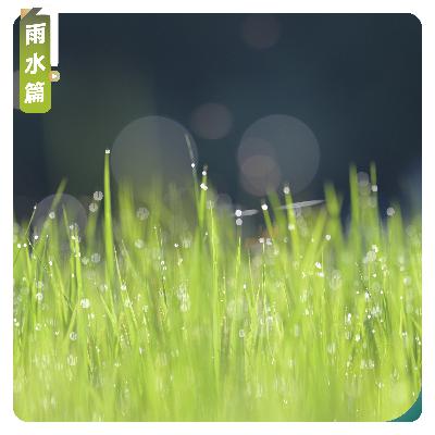 【雨水篇】听见第一场春雨 【雨水篇】听见第一场春雨