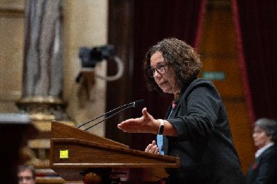 Els comuns desvinculen els pressupostos de la prohibició de la compra especulativa