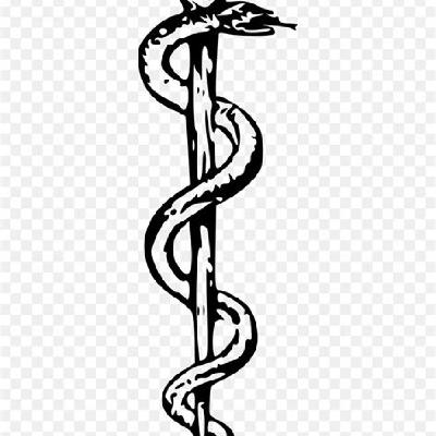 La Cuea del Mago -La simbologia de la serpiente