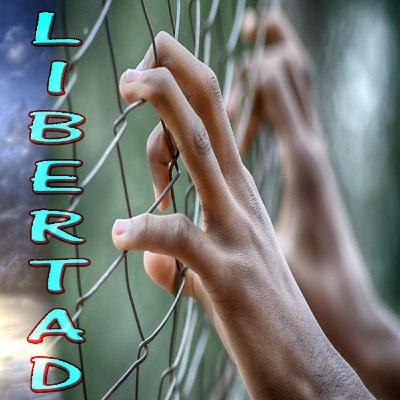 SOBRE LA LIBERTAD - Análisis y Descubrimiento 👍