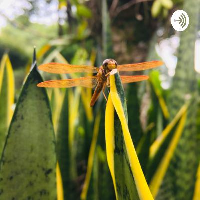 “Justo lo que yo estaba buscando “ “Justo lo que yo estaba buscando “