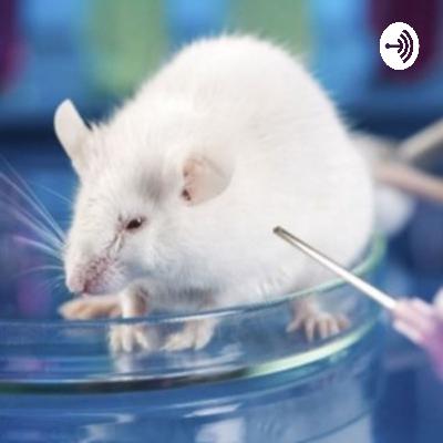 The history of a testing animal