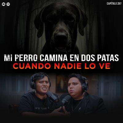 Historias Perturbadoras de Animales Extraños: Mi Perro Camina en 2 Patas cuando Nadie lo ve