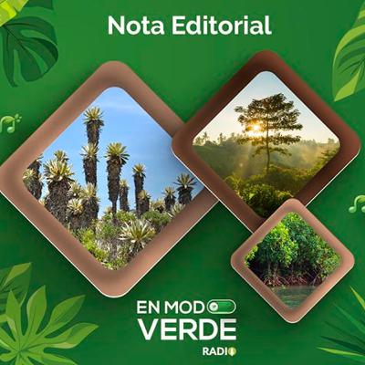 Sembramos árboles desde el páramo hasta el mar - En Modo Verde Radio Sembramos árboles desde el páramo hasta el mar - En Modo Verde Radio