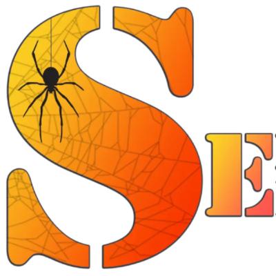 Seremailragno Edizioni: cos'è, di cosa tratta, quale linea segue? Seremailragno Edizioni: cos'è, di cosa tratta, quale linea segue?