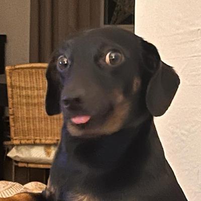 Goblin Sausage Goblin Sausage