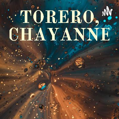 CRÍTICA A LA CANCIÓN TORERO DE CHAYANNE.