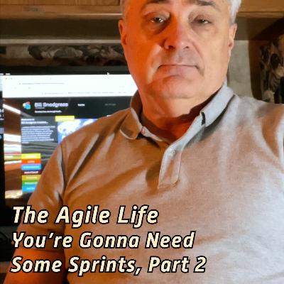 The Agile Life: You're Gonna Need Some Sprints,  Part 2