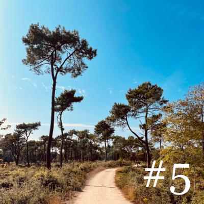 #5 - La cohérence cardiaque