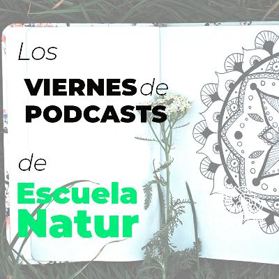 #2 Crea tu Diario de Emociones paso a paso