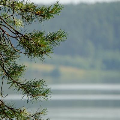 31 Эпизод 2020 - Двойственность в духовности