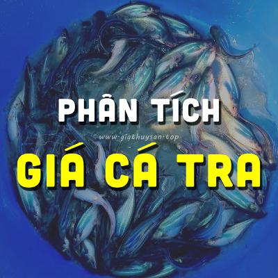 PHÂN TÍCH GIÁ CÁ TRA #ĐBSCL 14/10/2025 & CÁ TRA GIẢM NHƯNG VẪN NEO CAO? #GIATHUYSAN #GIACATRA