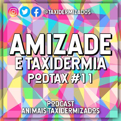 Amizade e Taxidermia - PodTax #11