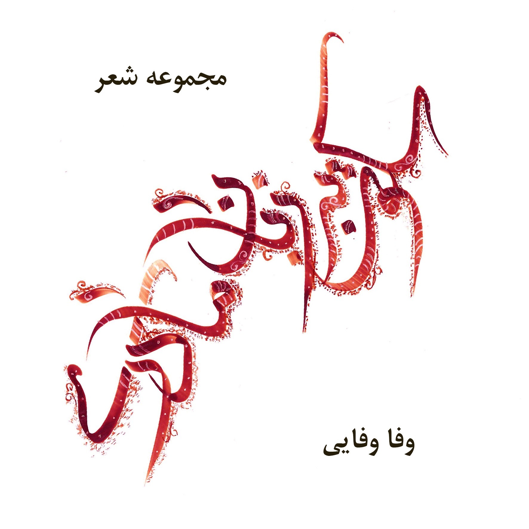 مجموعه شعر سکوت به زبان مادری