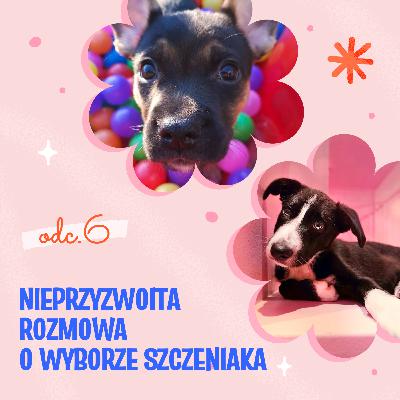 Nieprzyzwoita rozmowa o wyborze szczeniaka