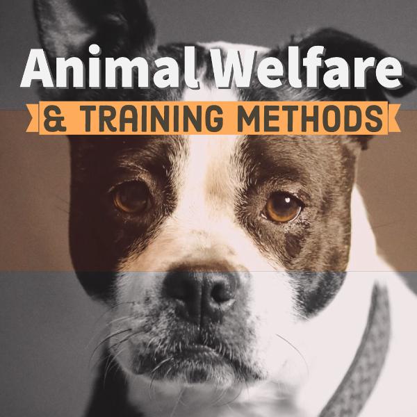 Animal Welfare and Training Methods Animal Welfare and Training Methods